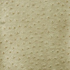 Ткань Kravet fabric SENNA.30.0