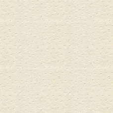 Ткань Kravet fabric SENNA.101.0