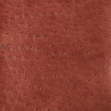 Ткань Kravet fabric SENNA.19.0