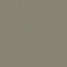 Ткань Kravet fabric ULTRASUEDE.1130.0