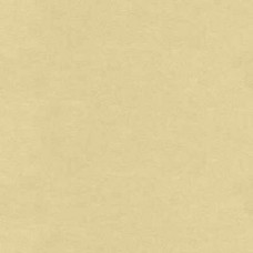 Ткань Kravet fabric ULTRASUEDE.1416.0