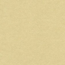 Ткань Kravet fabric ULTRASUEDE.1611.0