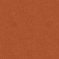 Ткань Kravet fabric...