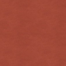 Ткань Kravet fabric...