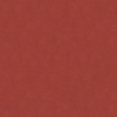 Ткань Kravet fabric...