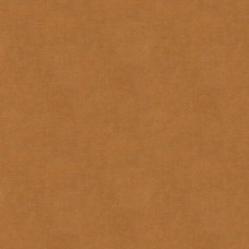 Ткань Kravet fabric...
