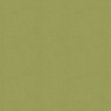 Ткань Kravet fabric...