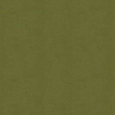 Ткань Kravet fabric...