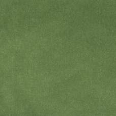 Ткань Kravet fabric...