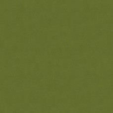 Ткань Kravet fabric...