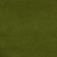 Ткань Kravet fabric...