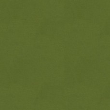 Ткань Kravet fabric...