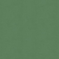 Ткань Kravet fabric...