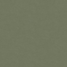 Ткань Kravet fabric...