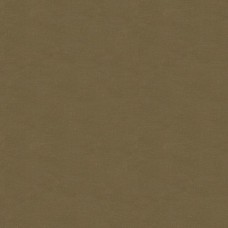 Ткань Kravet fabric...