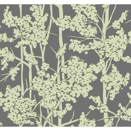 Обои Kravet W3374.11.0 