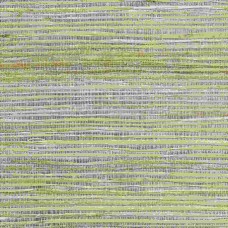Обои Kravet Design Kr W3463.1611.0 
