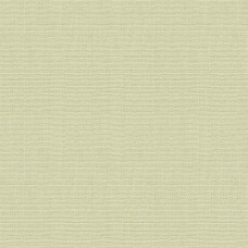 Ткань Kravet fabric 34813.2111.0