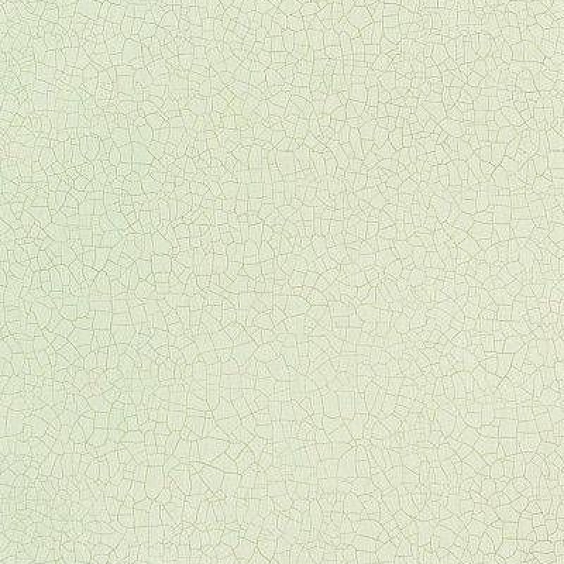 Обои Zoffany Persia PEW01006 Raku...