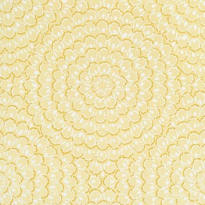 Surface Resource Surface Resource