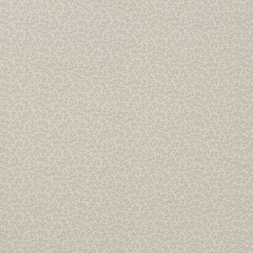 Обои T4191 Thibaut