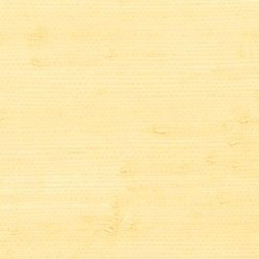 Обои Thibaut T5061 