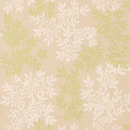 Обои Thibaut Artisan T764