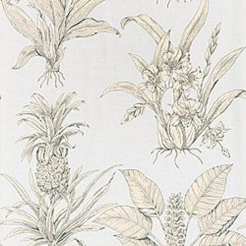 Обои Thibaut Toile Resource 2 T9804