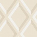 New Contemporary Collection
