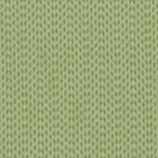 Ткань Bailey&Griffin fabric 190243h | 554-kiwi