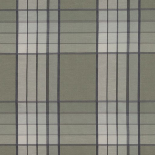 Ткань Bg61781 | 257-moss Bailey&Griffin fabric 
