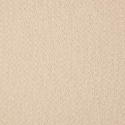 Ткань Ashley Wilde fabric Atwood-Champagne