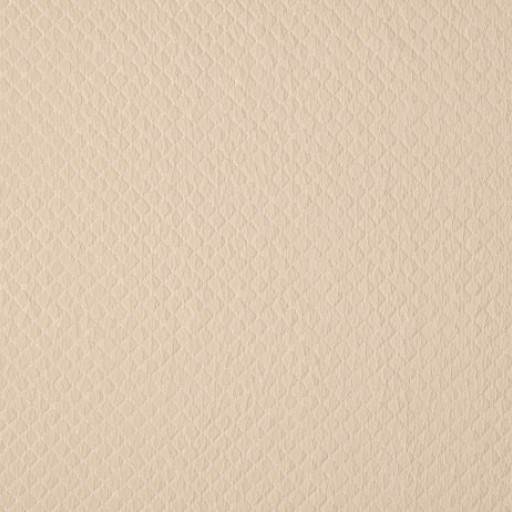 Ткань Ashley Wilde fabric Atwood-Champagne