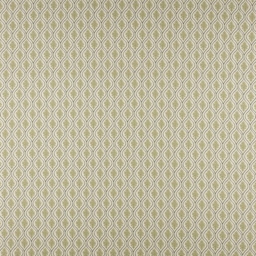 Ткань Ashley Wilde fabric Calvia-Olive