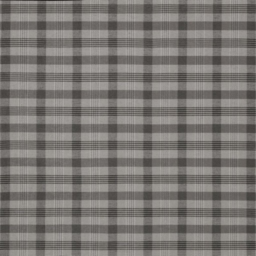 Ткань Ashley Wilde fabric Cove-Charcoal