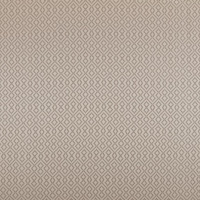 Ткань Ashley Wilde fabric Draco-Champagne