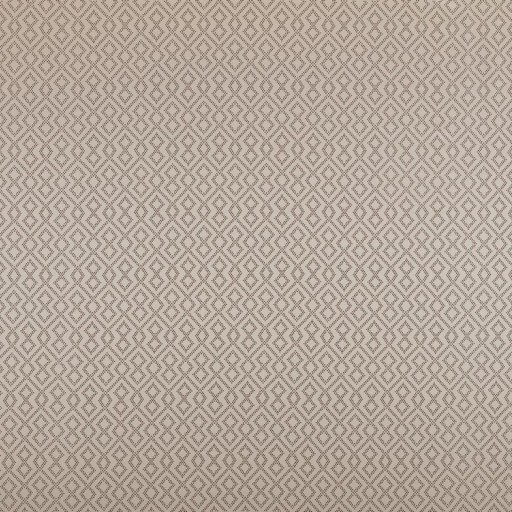 Ткань Ashley Wilde fabric Draco-Champagne