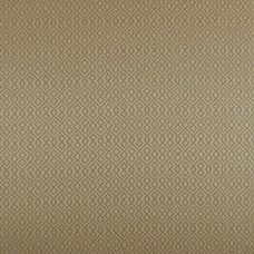 Ткань Ashley Wilde fabric Draco-Gold