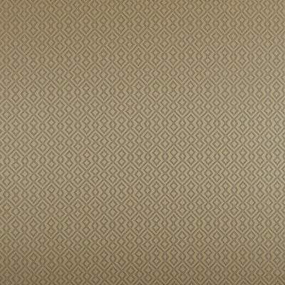 Ткань Ashley Wilde fabric Draco-Gold