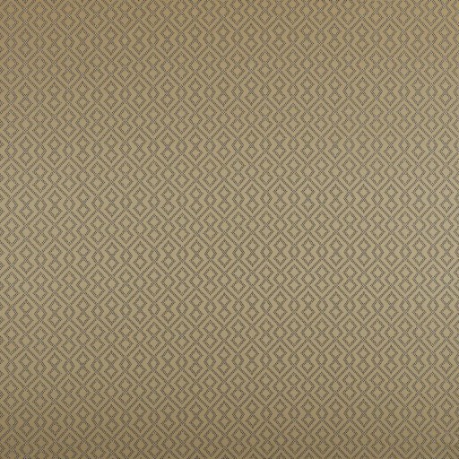 Ткань Ashley Wilde fabric Draco-Gold