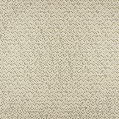 Ткань Ashley Wilde fabric Escorca-Olive