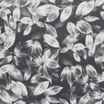 Ткань Ashley Wilde fabric Giardino-Slate