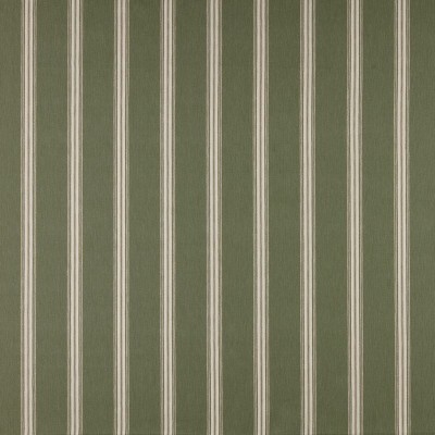 Ткань Ashley Wilde fabric Hampton-Spruce