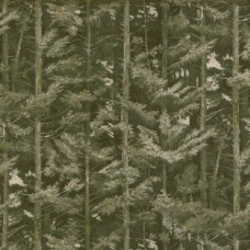 Ткань KAI fabric Balsham-Bracken