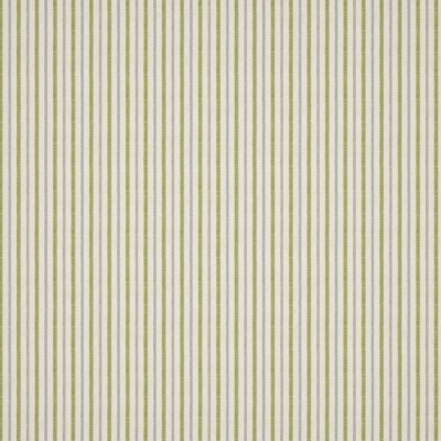 Ткань KAI fabric Shadwell-Apple