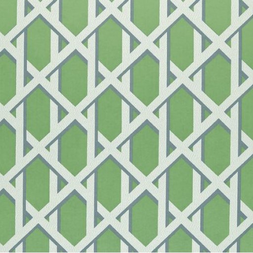 Ткань Ashley Wilde fabric Lattice-Kiwi