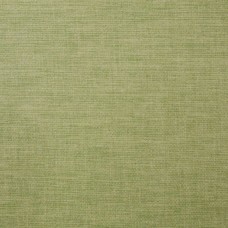 Ткань Ashley Wilde fabric Lunar-Olive