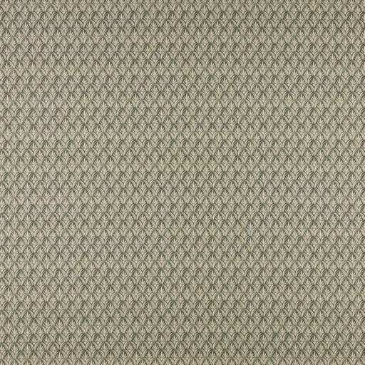 Ткань Ashley Wilde fabric Mondrago-Olive