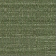 Ткань Ashley Wilde fabric Raffia-Fern