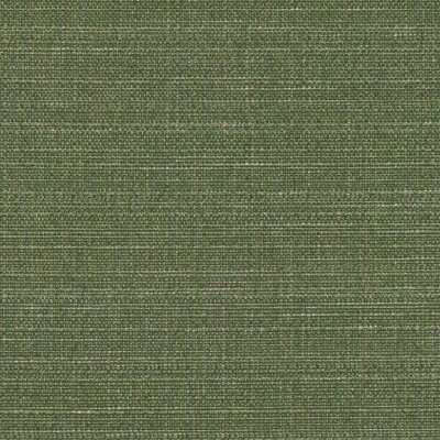 Ткань Ashley Wilde fabric Raffia-Fern